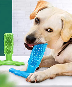Dog Chew Toys