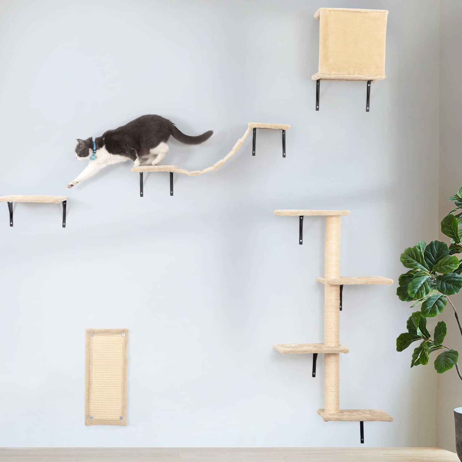 Cat Tree & Furnitures