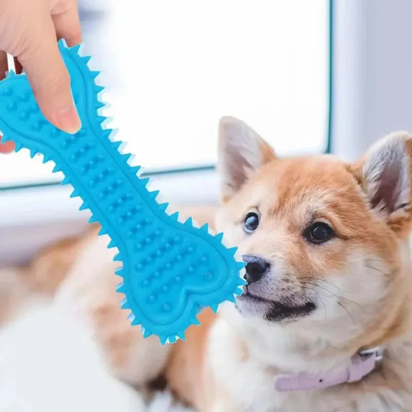 Petxos Chew Toy for Dog Toothbrush Stick Toys for Aggressive Chewers Interactive Toy Treats Tough Toys to Keep Them Busy Chew for Small Dogs