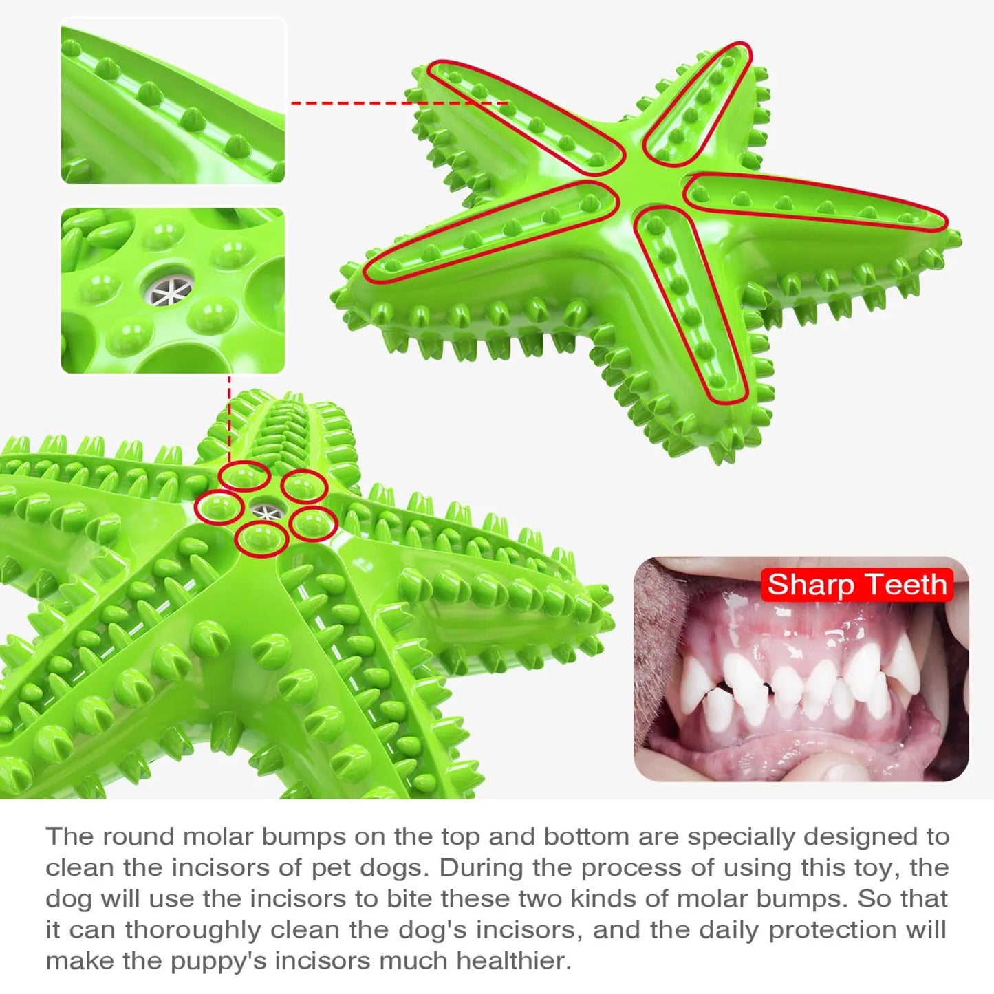 Petxos Chew Toy for Dog Toothbrush Stick Dog Toys for Aggressive Chewers Interactive Toys Treats Tough Toy to Keep Them Busy Chew Toys for Small Dogs