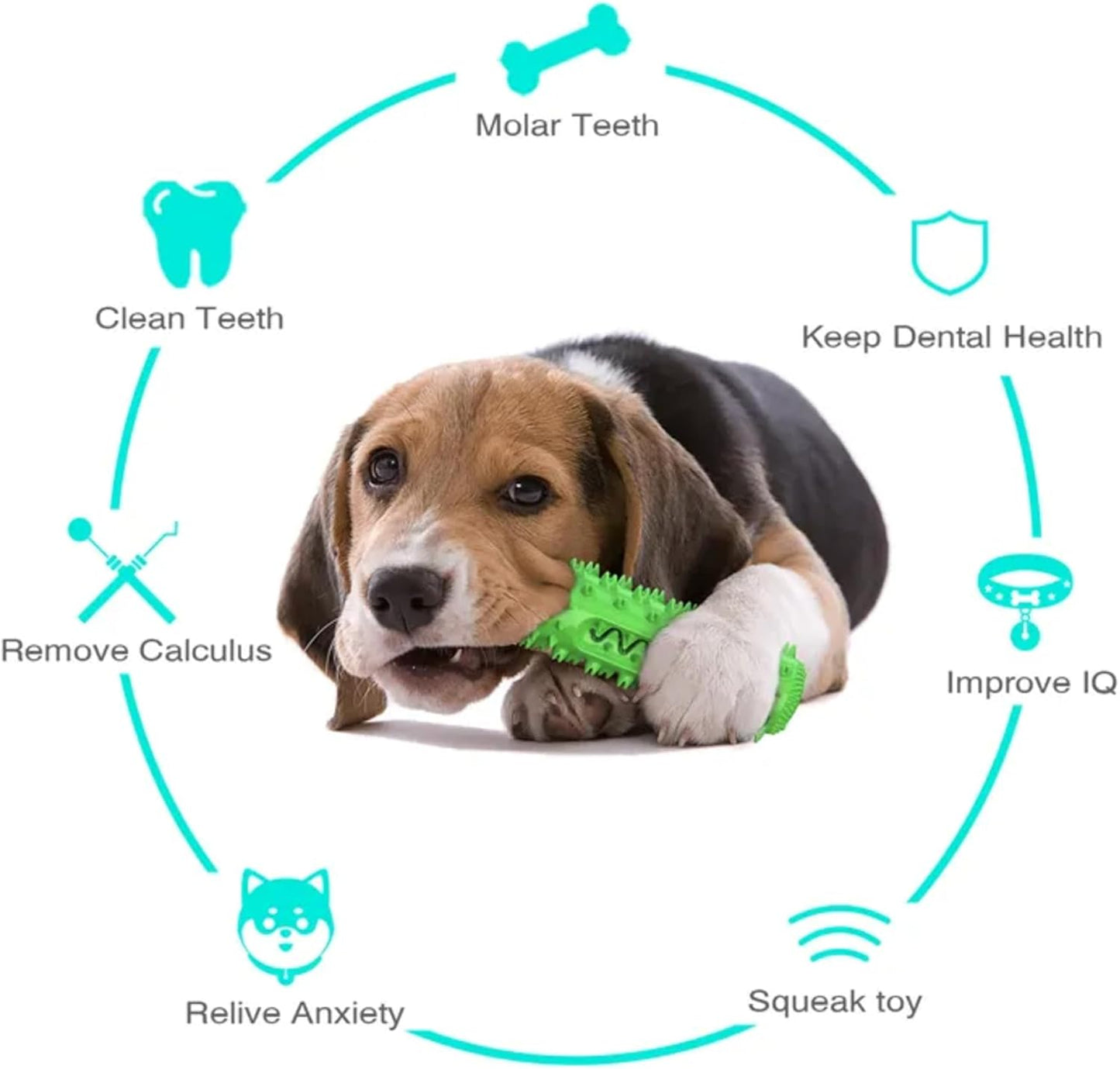 Petxos Chew Bone Toy (Old Version)