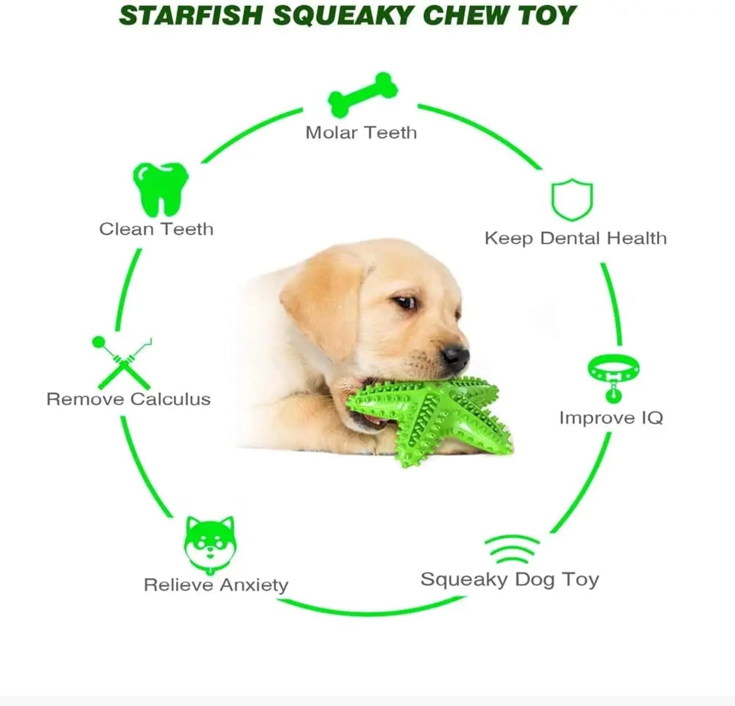 Petxos Chew Toy Starfish Shape