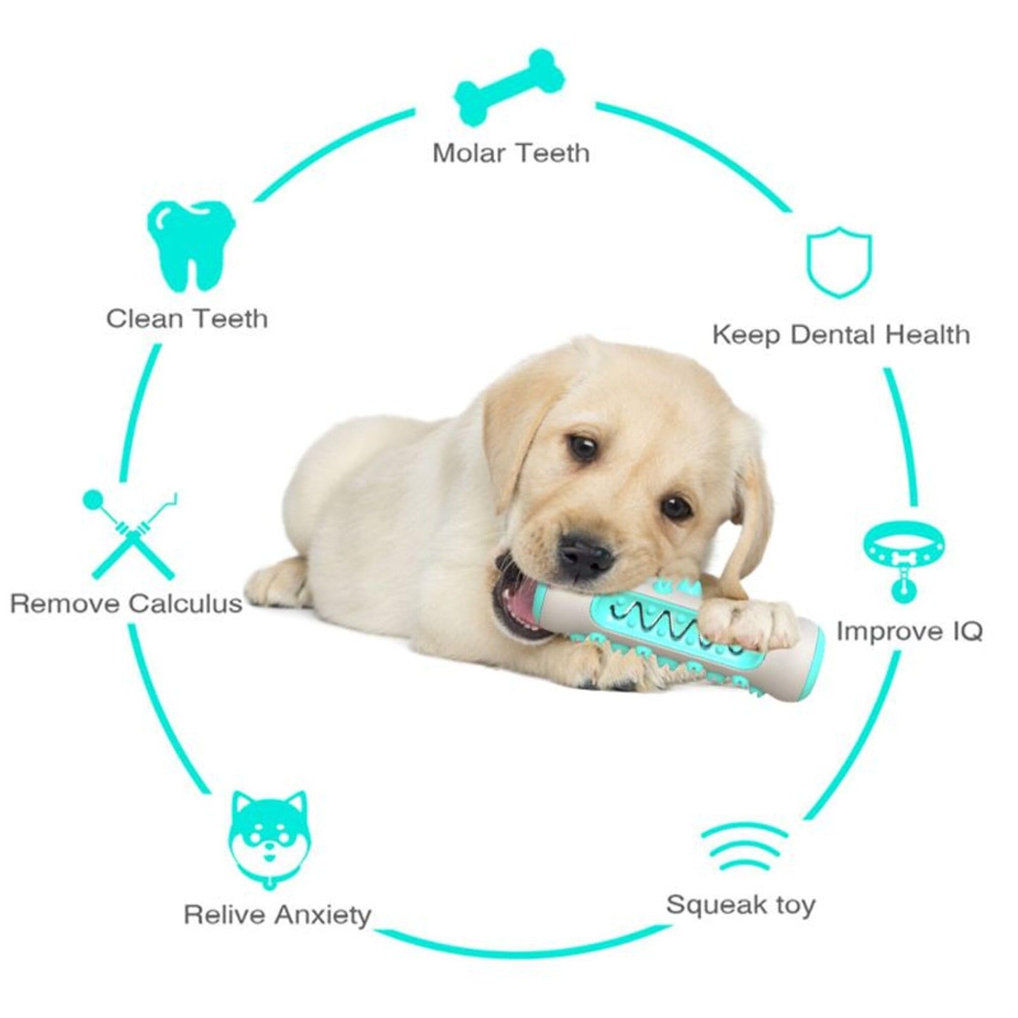 Petxos Chew Bone Toy (New Version)