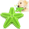 Petxos Chew Toy Starfish Shape