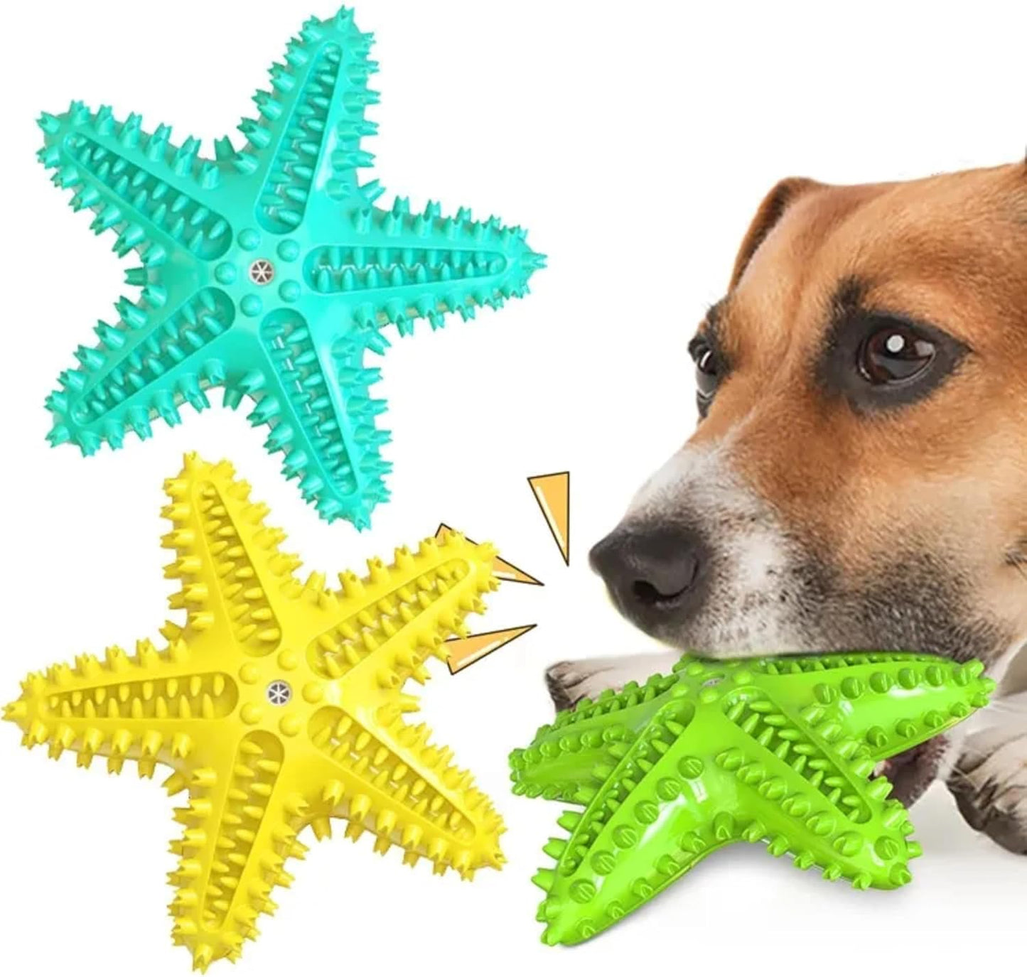 Petxos Chew Toy Starfish Shape