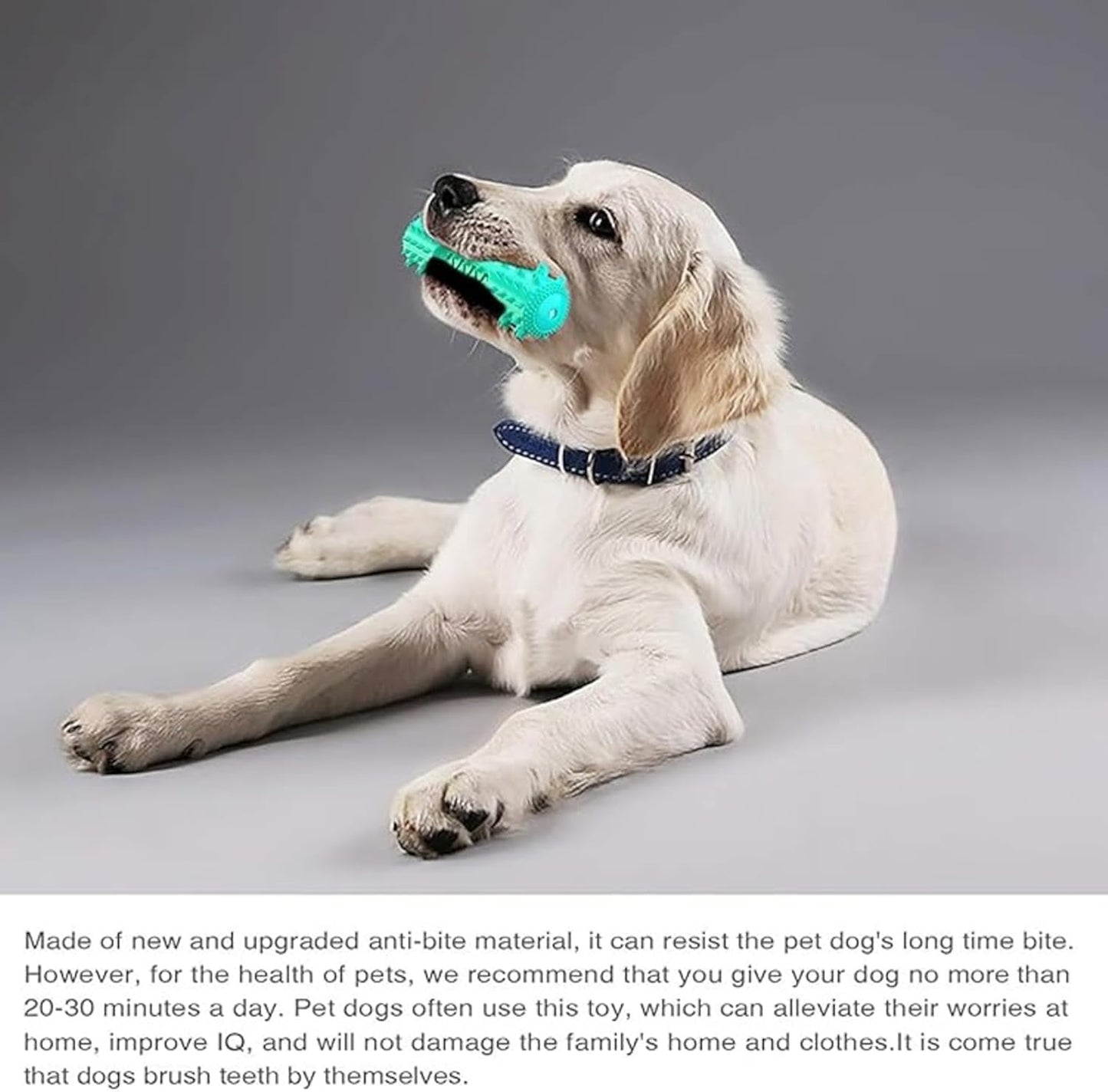 Petxos Chew Bone Toy (Old Version)