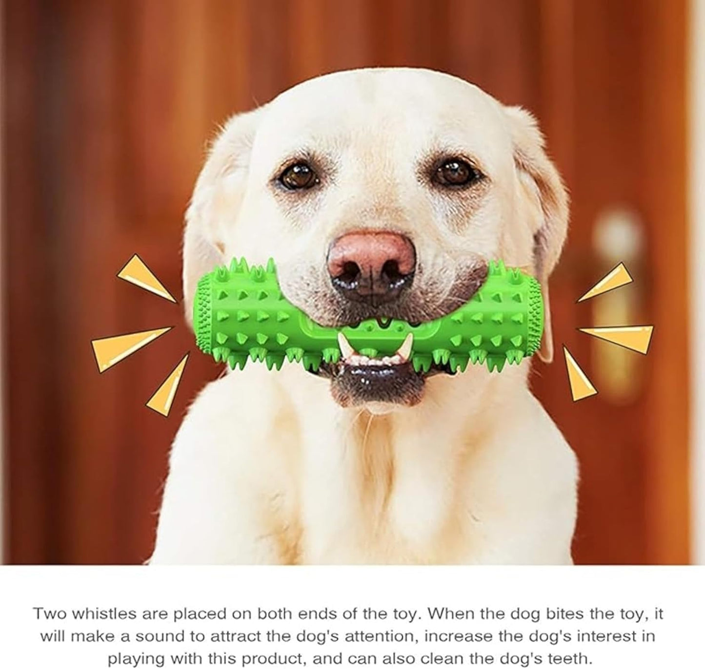 Petxos Chew Bone Toy (Old Version)