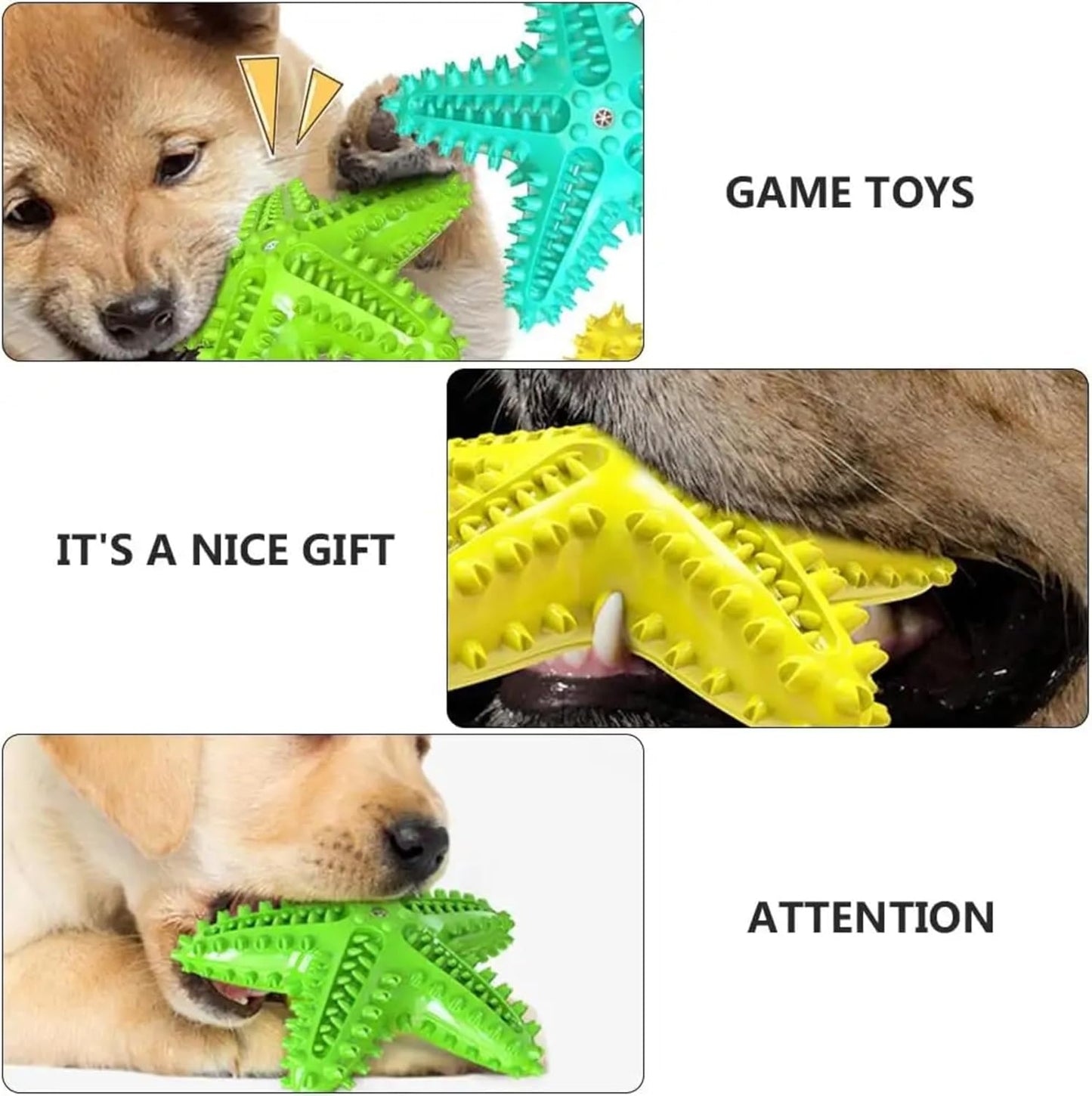 Petxos Chew Toy Starfish Shape