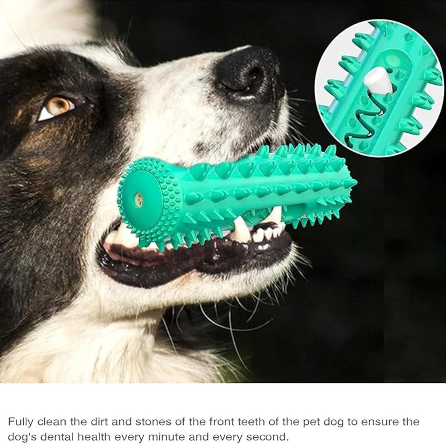 Petxos Chew Bone Toy (Old Version)