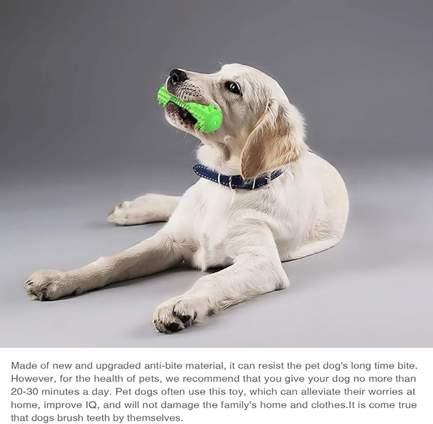 Petxos Chew Bone Toy (Old Version)