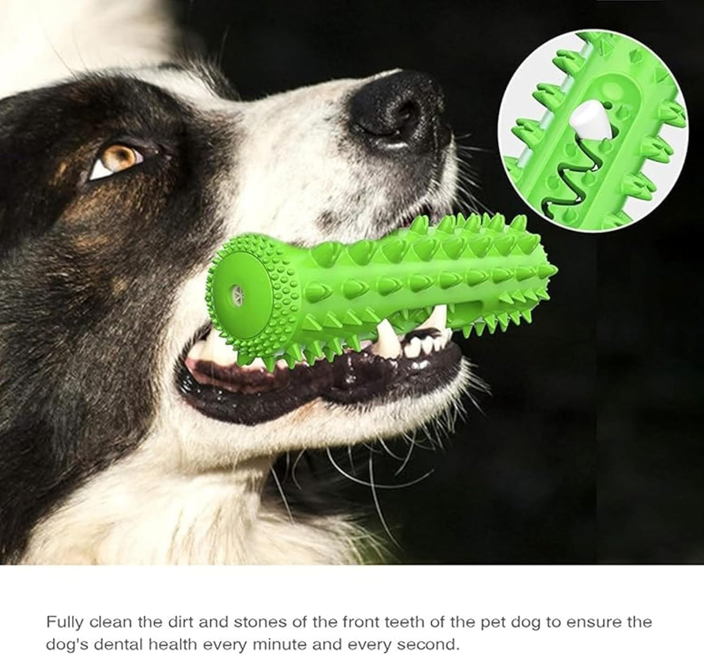 Petxos Chew Bone Toy (Old Version)