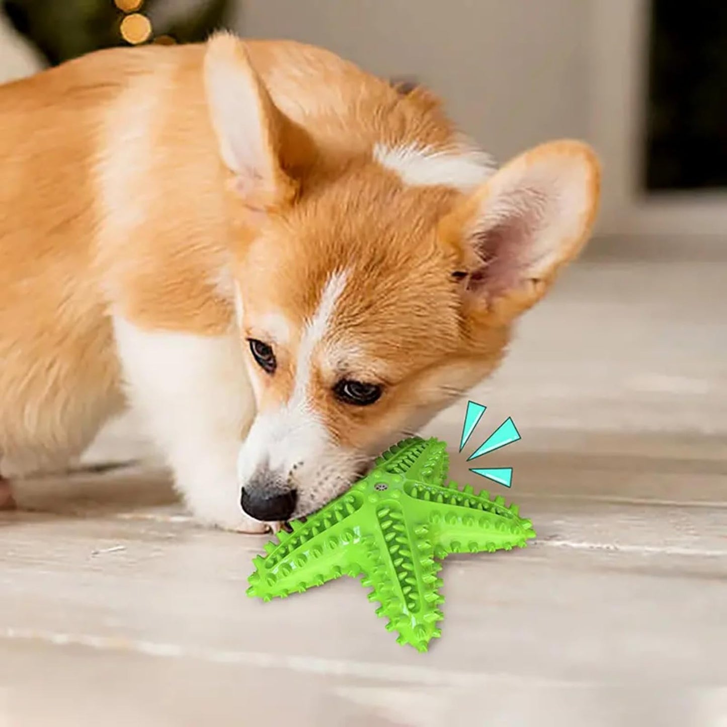 Petxos Chew Toy Starfish Shape