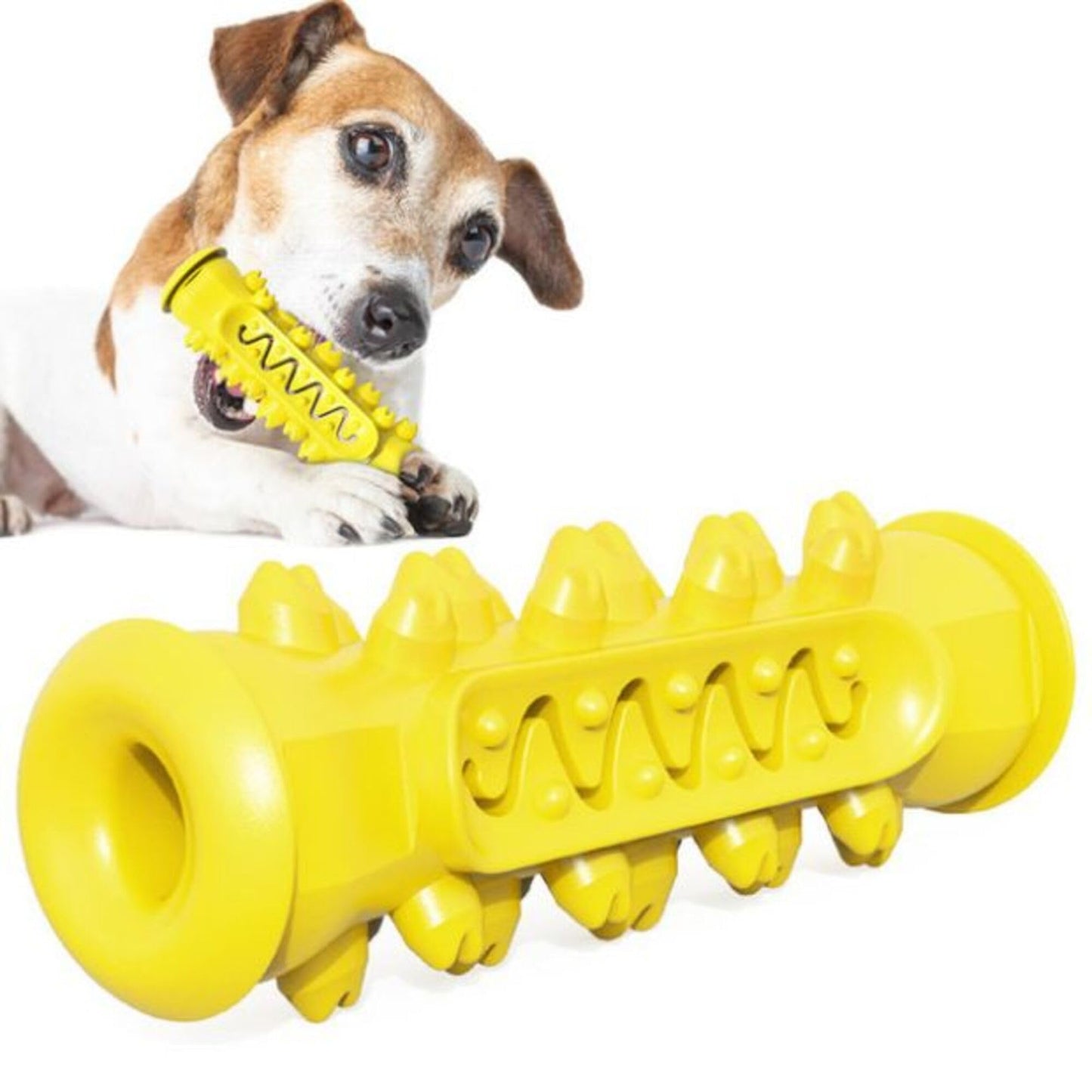 Petxos Chew Bone Toy (Old Version)