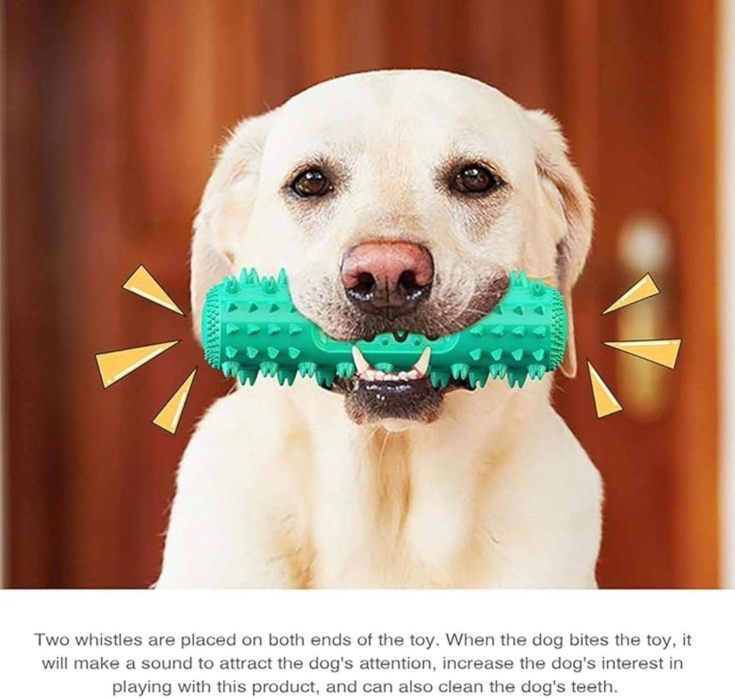 Petxos Chew Bone Toy (Old Version)