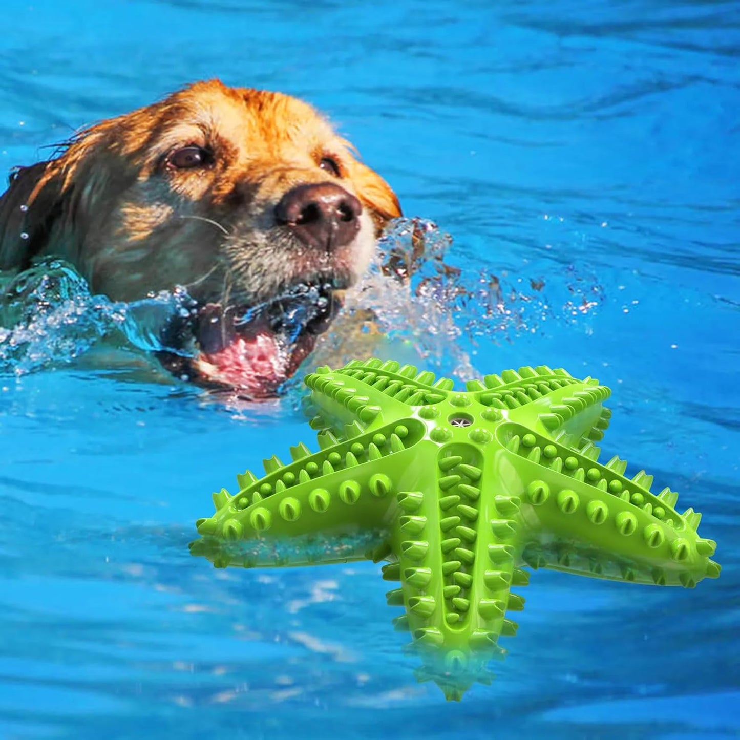 Petxos Chew Toy Starfish Shape