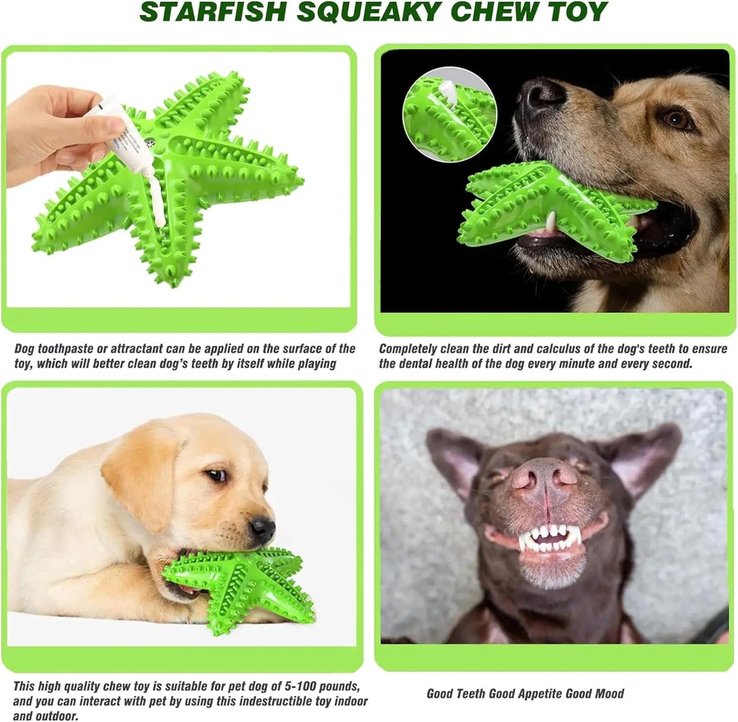Petxos Chew Toy Starfish Shape