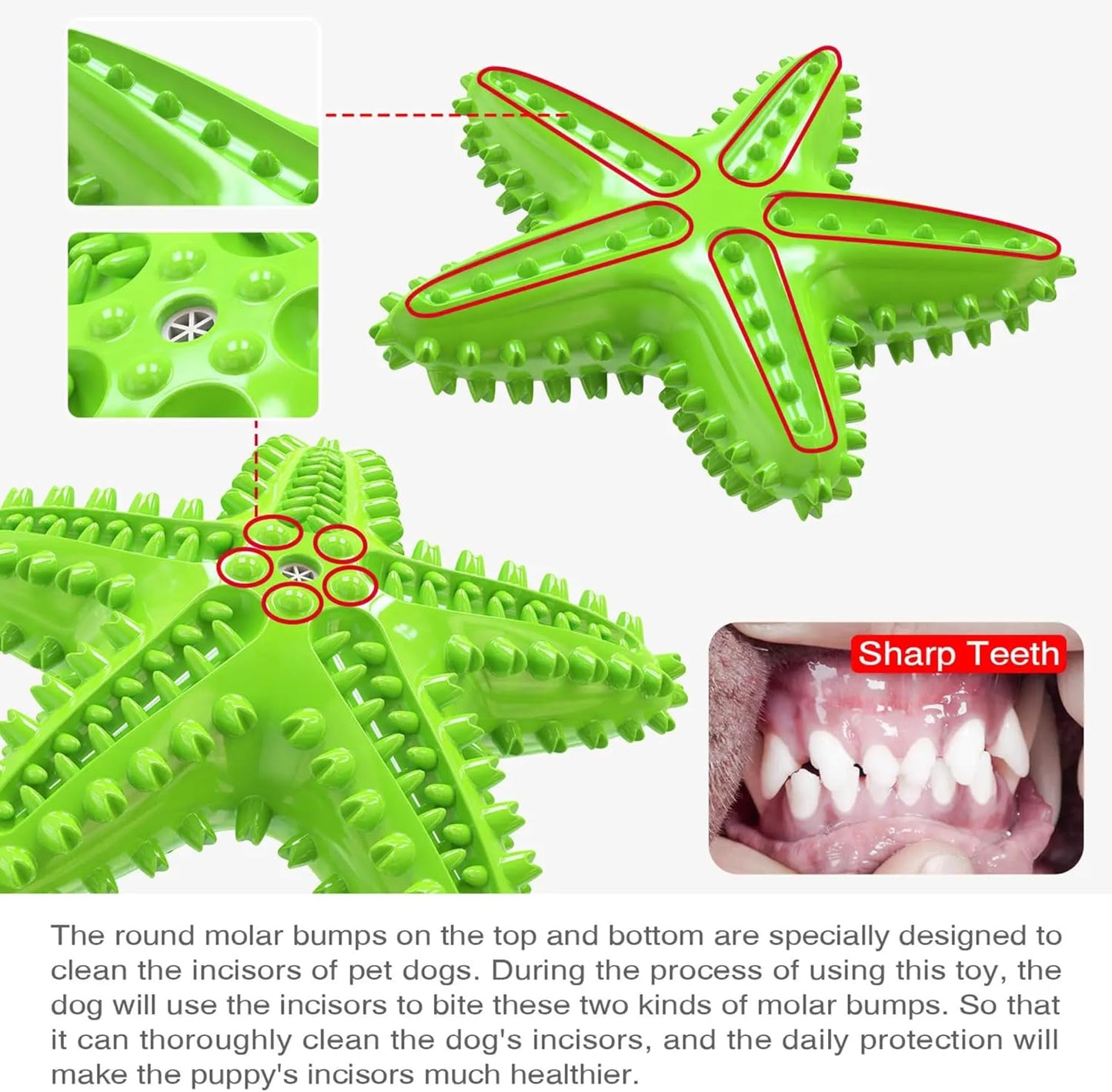 Petxos Chew Toy Starfish Shape