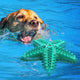 Petxos Chew Toy Starfish Shape