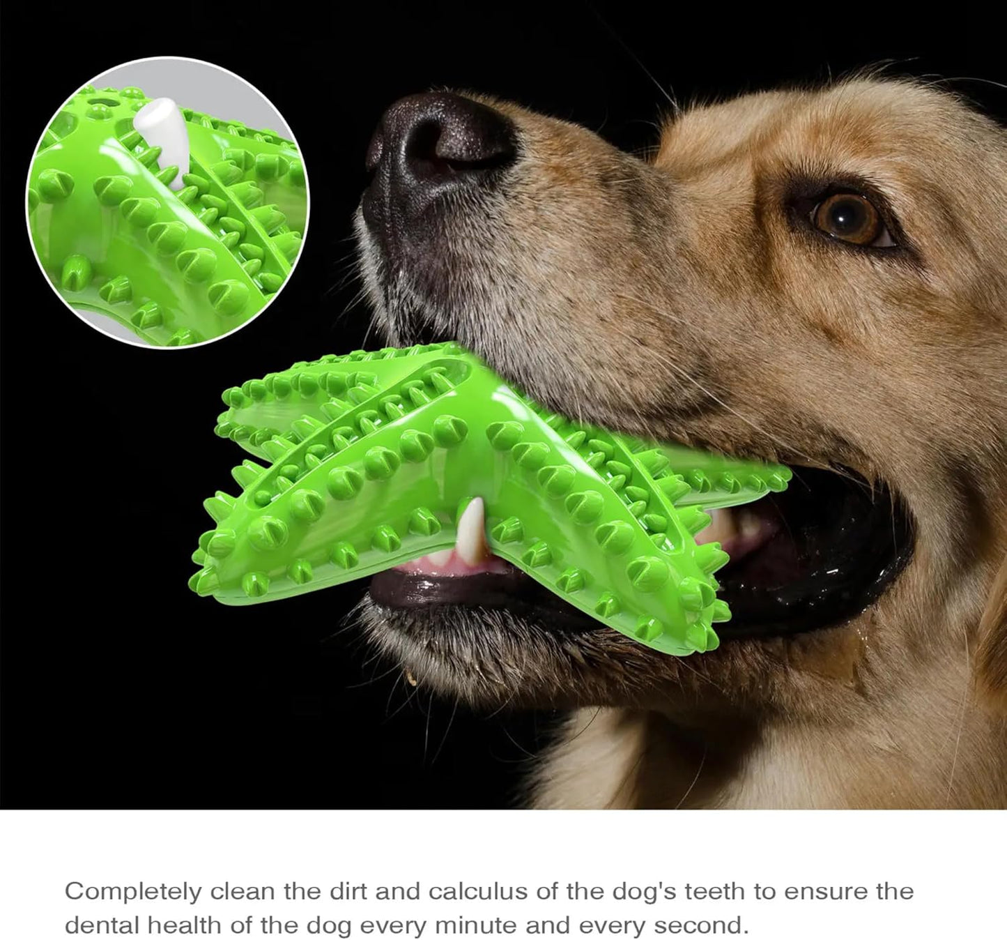 Petxos Chew Toy Starfish Shape