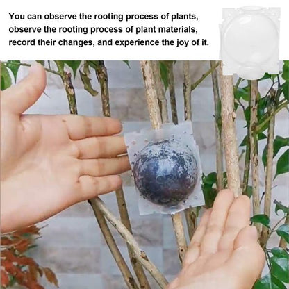 482642371