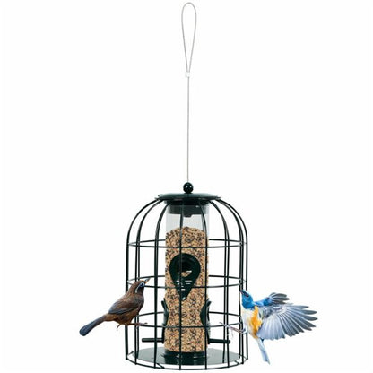 484536031