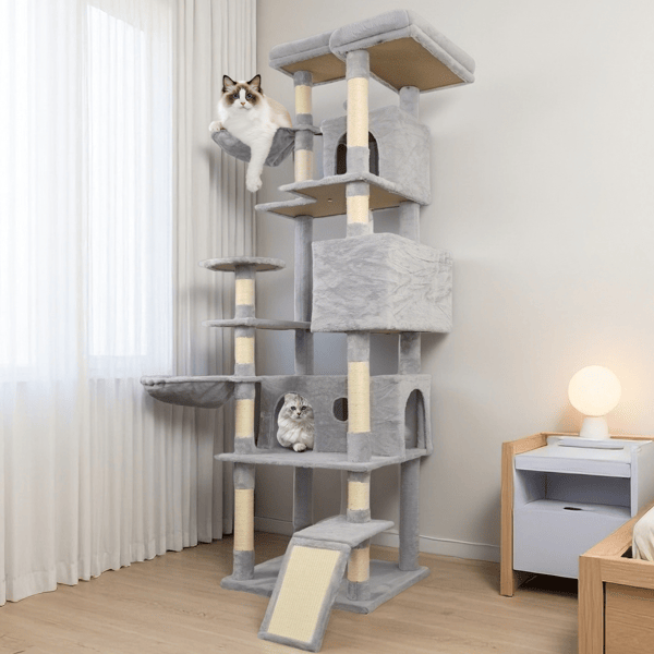 484542531